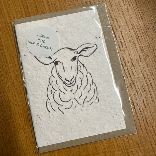 Seed Paper Greeting Card, Blank Sheep