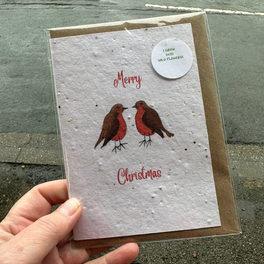 Seed Paper Christmas Card, Robins