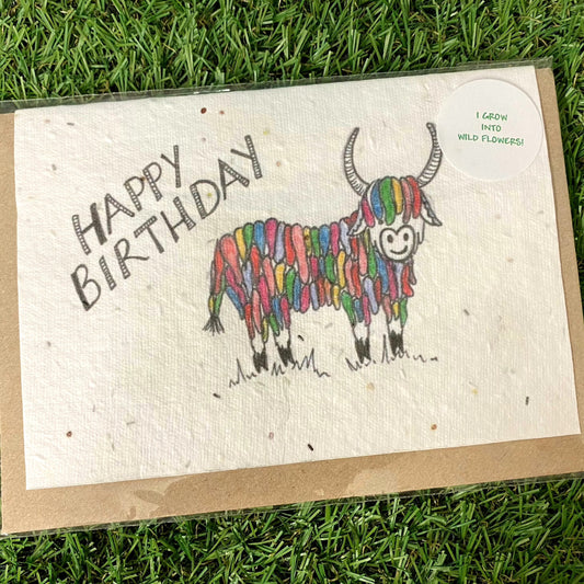 Seed Paper Greeting Card, Rainbow Highland Cow
