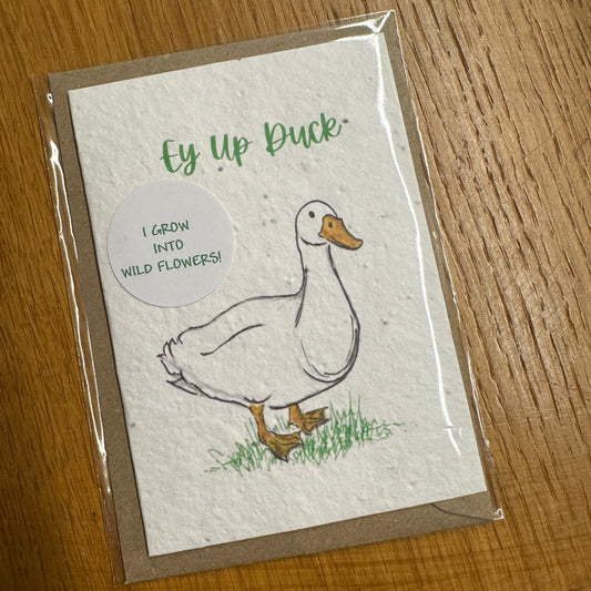 Seed Paper Greeting Card, Ey Up Duck