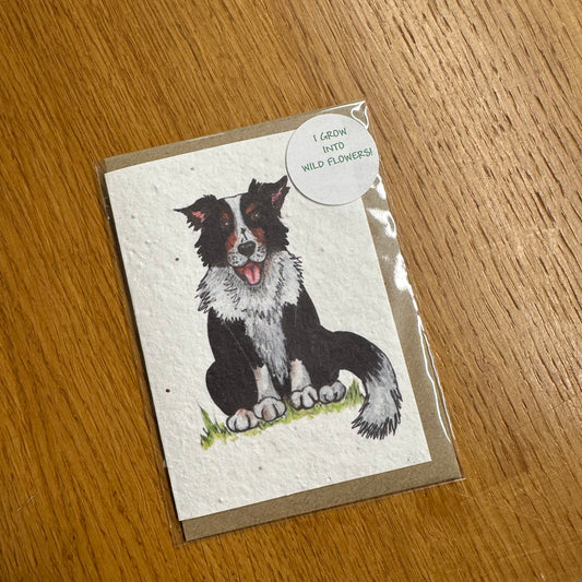Seed Paper Greeting Card, Sheep Dog