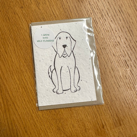Seed Paper Greeting Card, Duggy Dog Blank