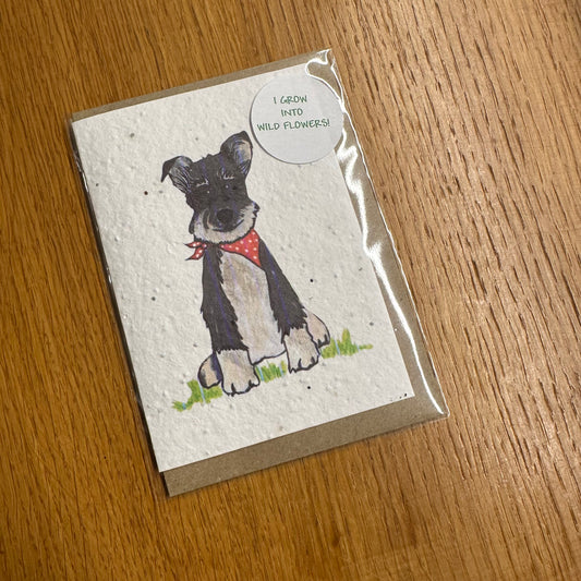 Seed Paper Greeting Card, Kevin The Schnauzer