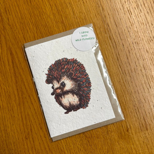 Seed Paper Greeting Card, Hedgehog