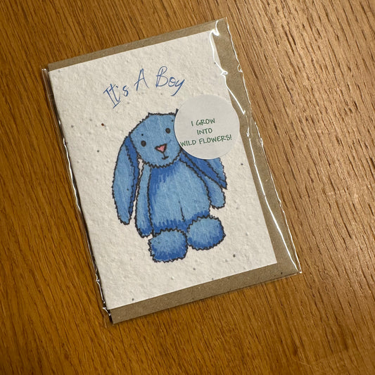 Seed Paper Greeting Card, It's A Boy