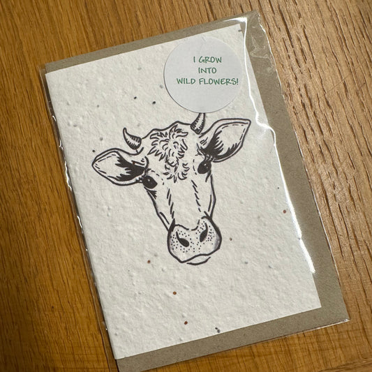 Seed Paper Greeting Card, Black & White Cow