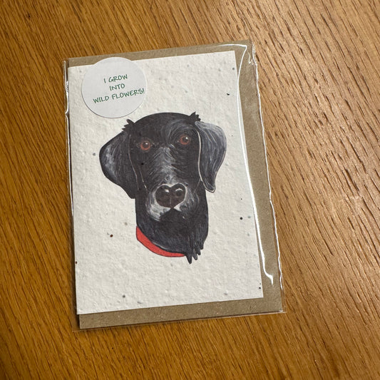 Seed Paper Greeting Card, Black Labrador Blank