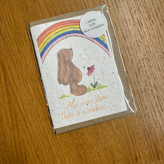 Seed Paper Greeting Card, After Every Storm Is A Rainbow