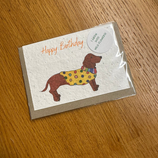 Seed Paper Greeting Card, Happy Birthday Sausage Dog