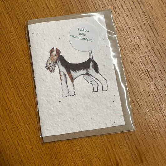 Seed Paper Greeting Card, Lola The Fox Terrier