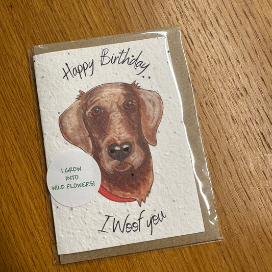 Seed Paper Greeting Card, Red Labrador Happy Birthday I Woof You