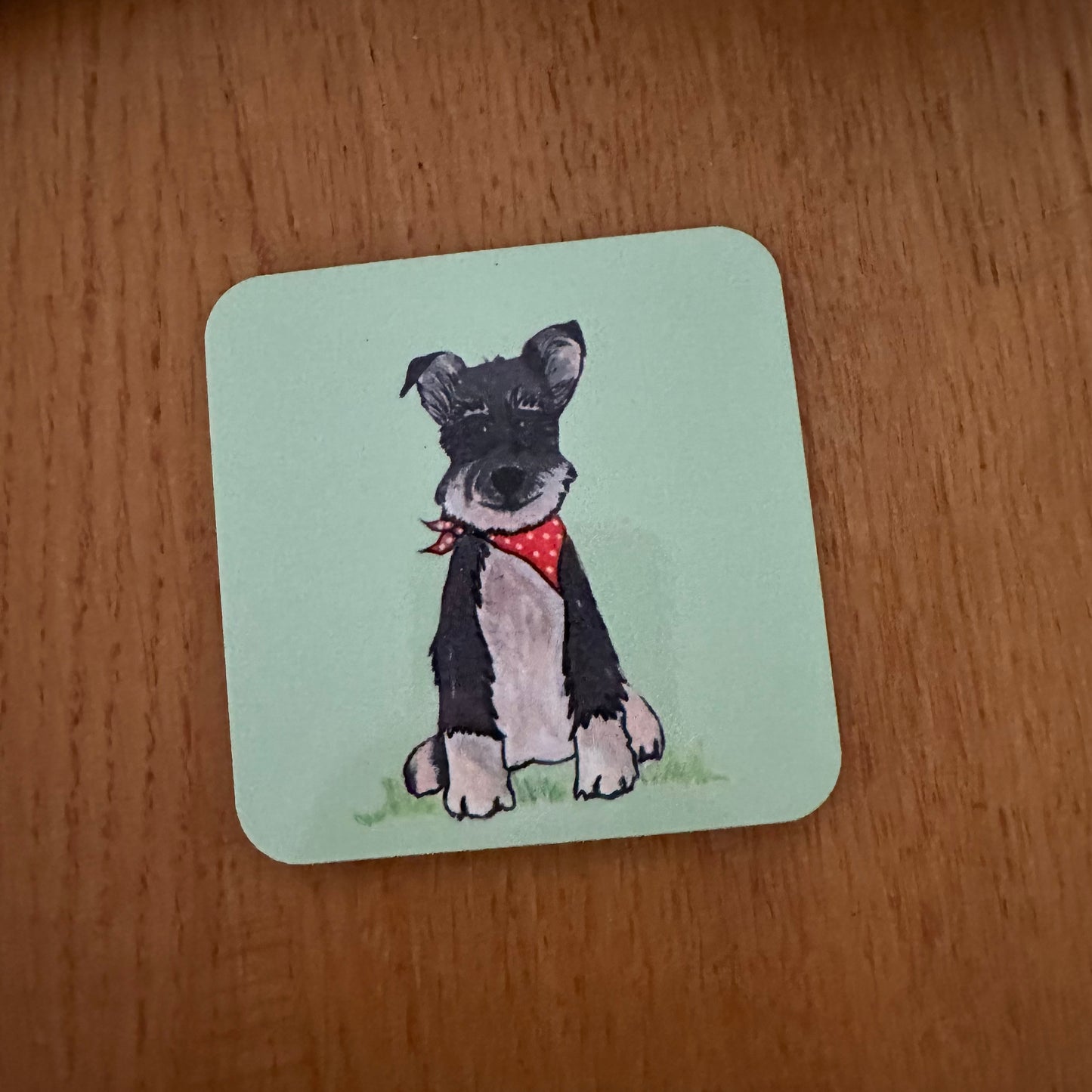 Coaster, Kevin The Schnauzer