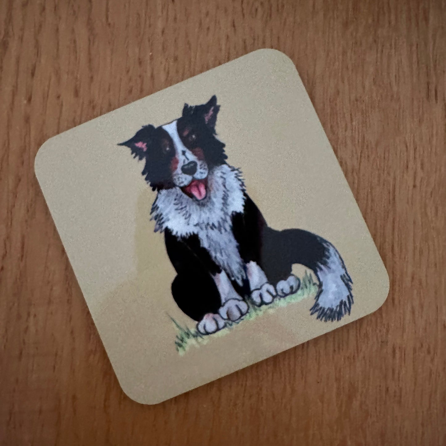 Coaster, Casper The Collie