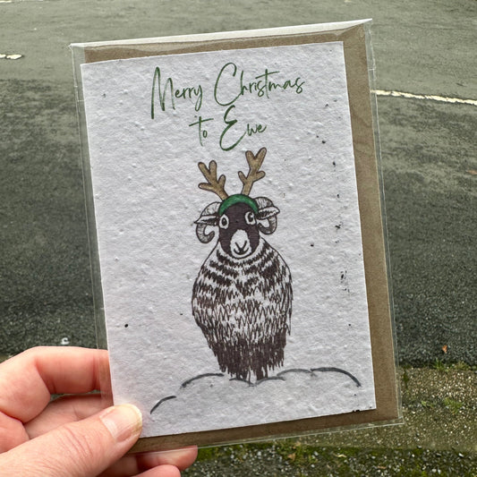 Seed Paper Greeting Card, Merry Christmas To Ewe