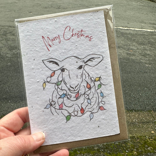 Seed Paper Greeting Card, Christmas Ewe