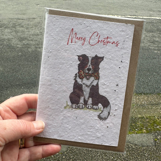 Seed Paper Greeting Card, Christmas Casper the Collie