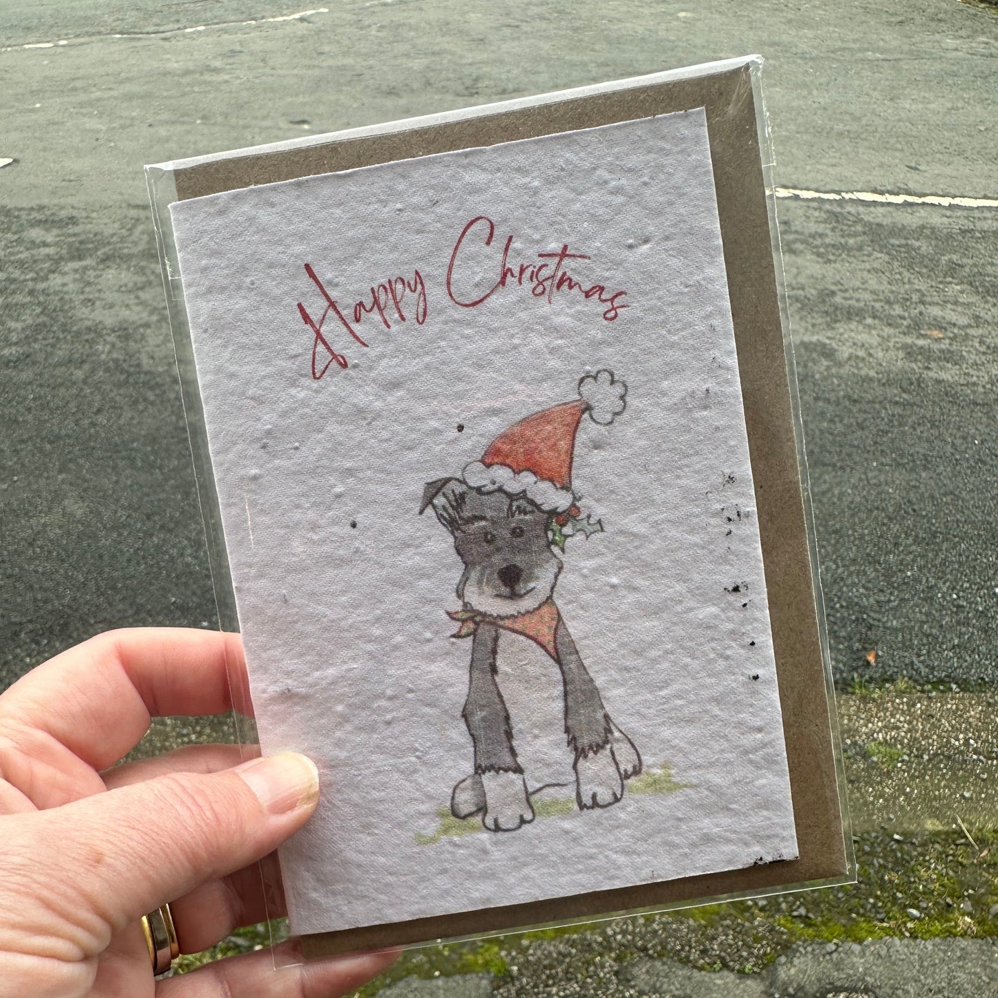 Seed Paper Greeting Card, Christmas Kevin the schnauzer