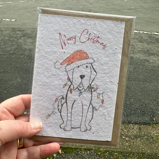 Seed Paper Greeting Card, Christmas Duggy