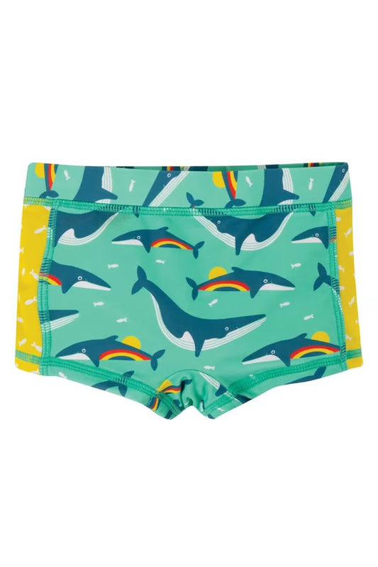 Tide Pull On Trunks, Rainbow Whale