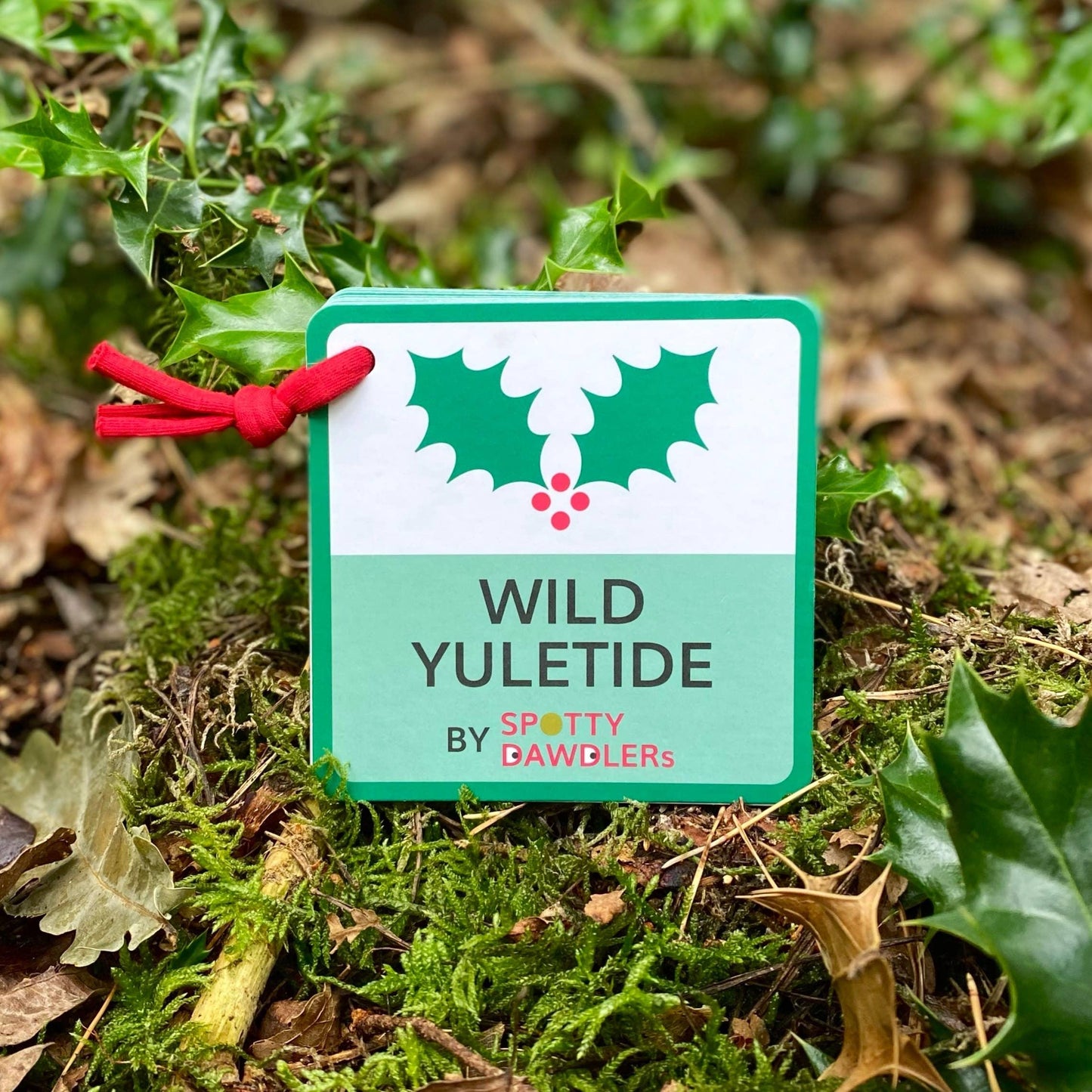 Wild Yuletide Christmas Nature Spotting Sticker Book