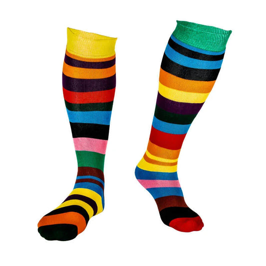 Adult Welly Socks, Rainbow