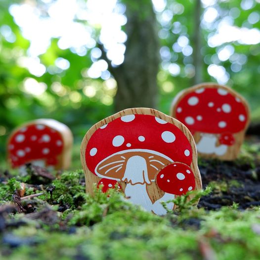 Natural Wooden Red & White Toadstool