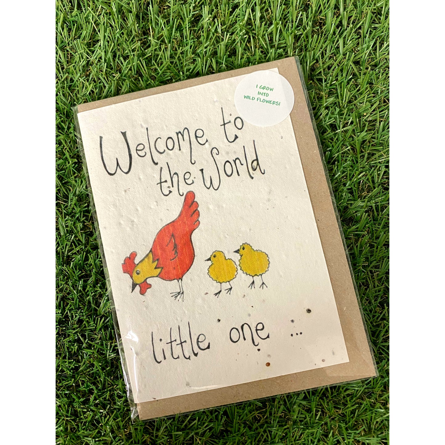 Seed Paper Greeting Card, Welcome To The World
